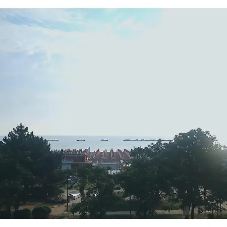 Flora Otel 3*
