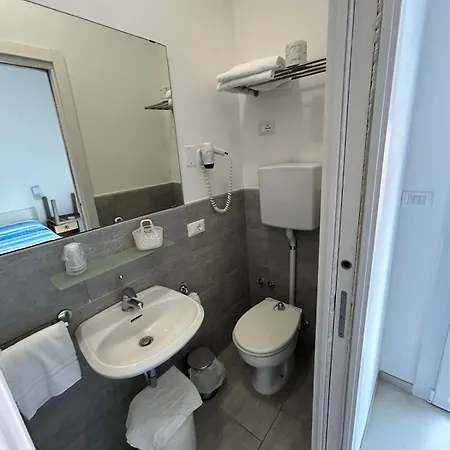 Отель Hotel Flora