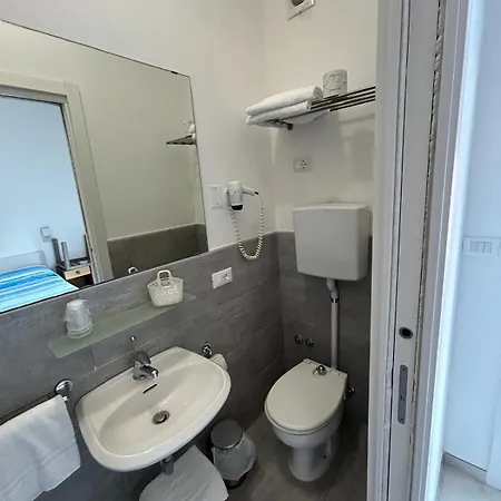 Отель Hotel Flora 3*
