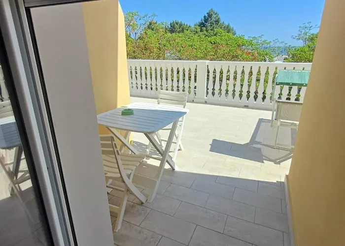 Flora 3* 切塞纳蒂科